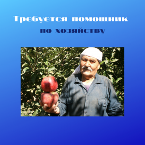 Агентство "Домашний персонал72", работаем с 2006 года, В банке данных более 3000 резюме. Быстрый и качественный подбор нянь, домработниц, сиделок. www.домперсонал72.рф